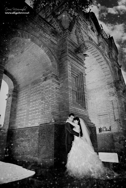 Фотограф на свадьбу