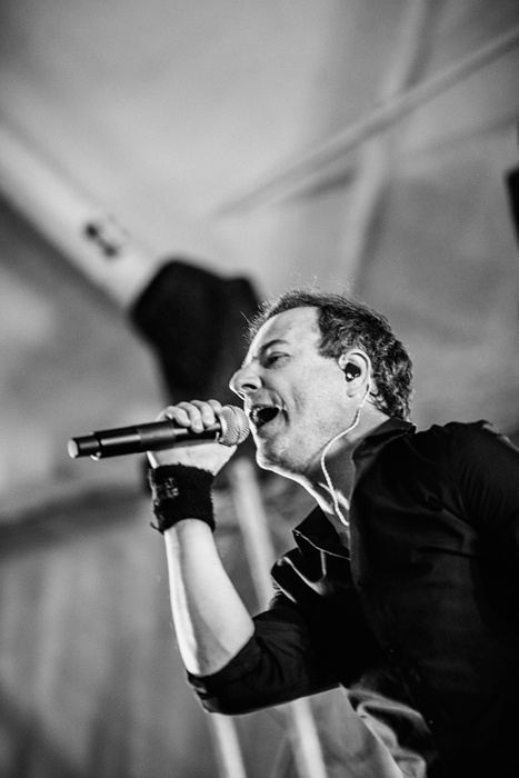 Animal ДжаZ. Фотограф Михаил Ряховский