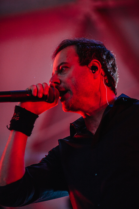 Animal ДжаZ. Фотограф Михаил Ряховский