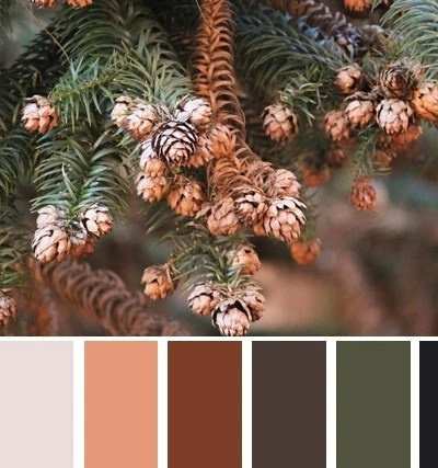 Что надеть на фотосессию в зал Light-100?. Семейный и Свадебный фотограф. Санкт-Петербург. Пушкин