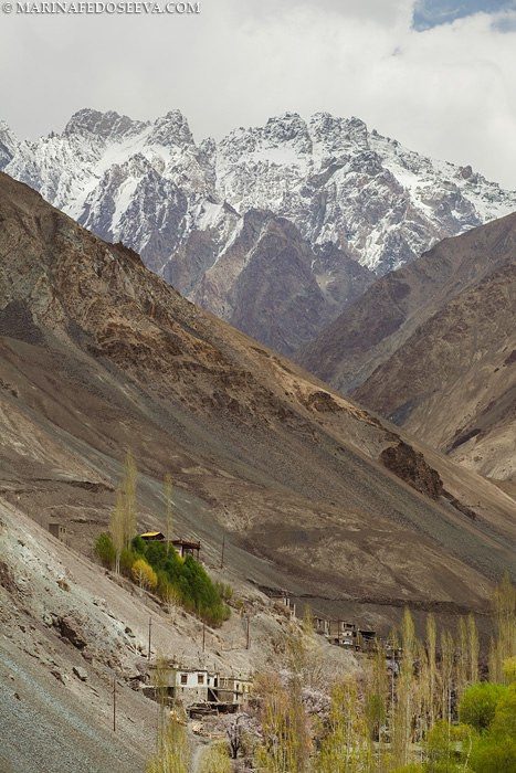 Tibet, Ladakh, Leh, 2012. Marina Kanygina (Fedoseeva) photography