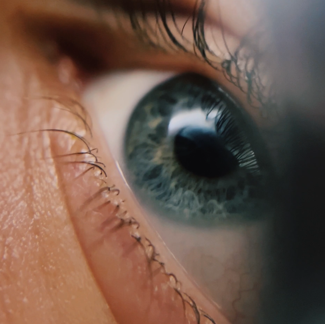 Услуги. Фотограф Photo_alsp