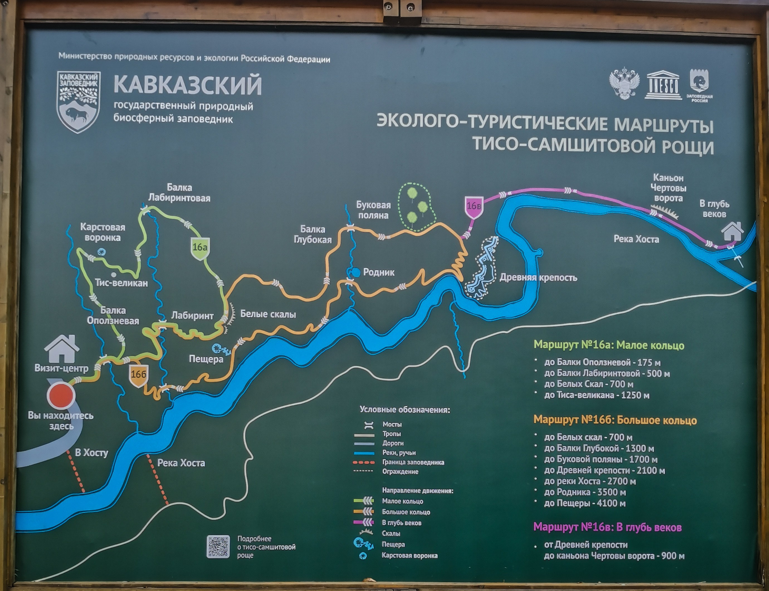 Тисо-самшитовая роща. Yaratezza production