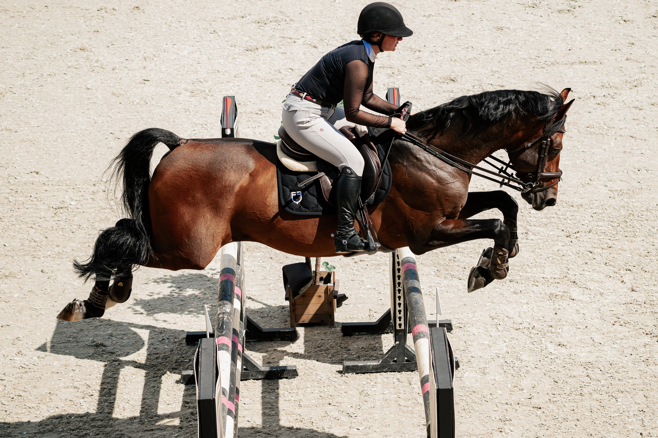 Спортивные мероприятия. Конный фотограф Куракина Дарья • Фотосессии с лошадьми