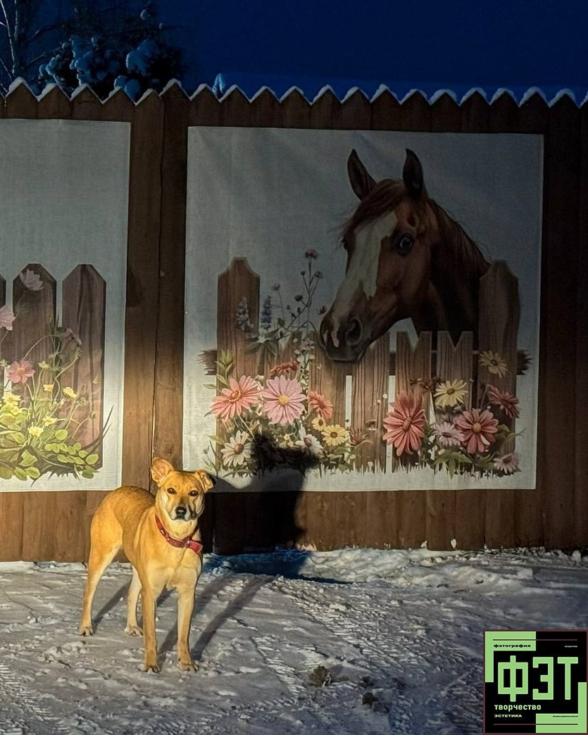 Альбом 11.01.26