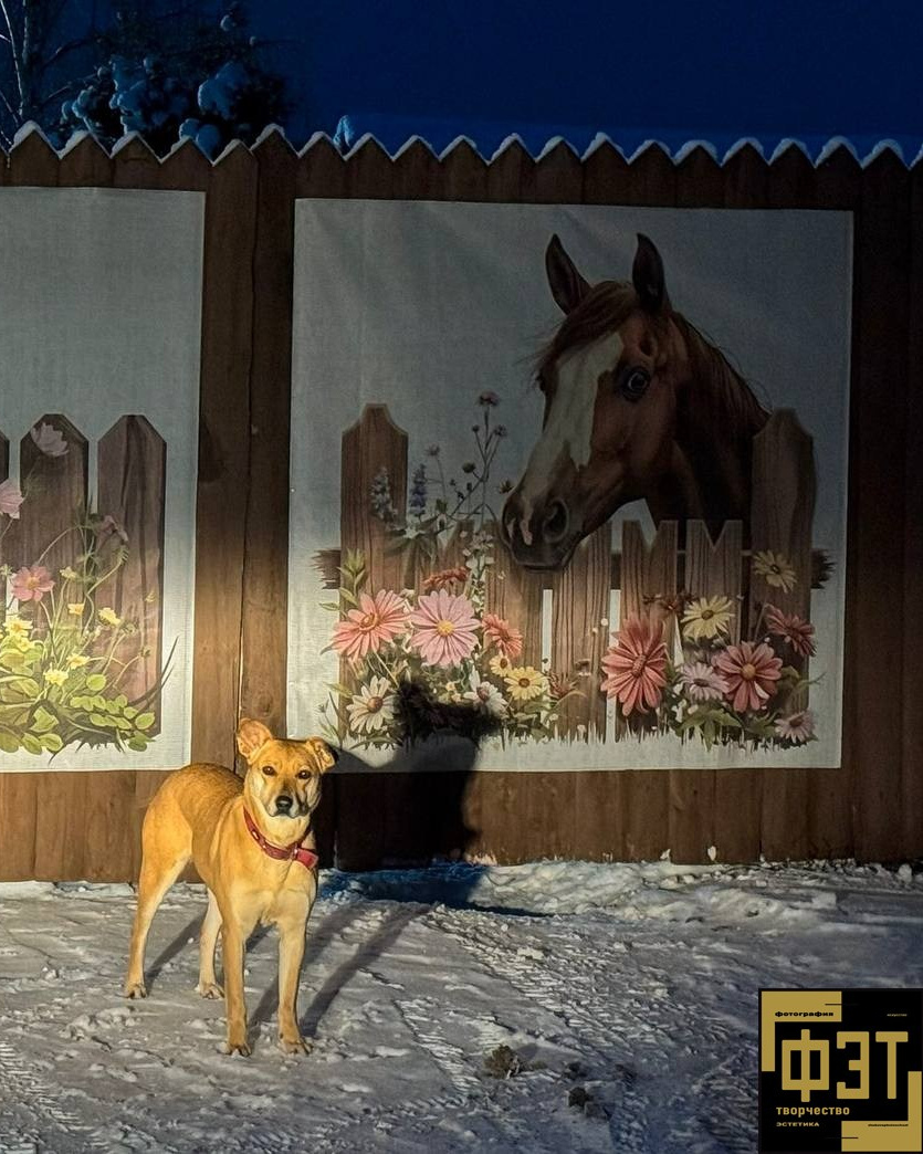 Выбор зрителей. Альбом 11.01.26