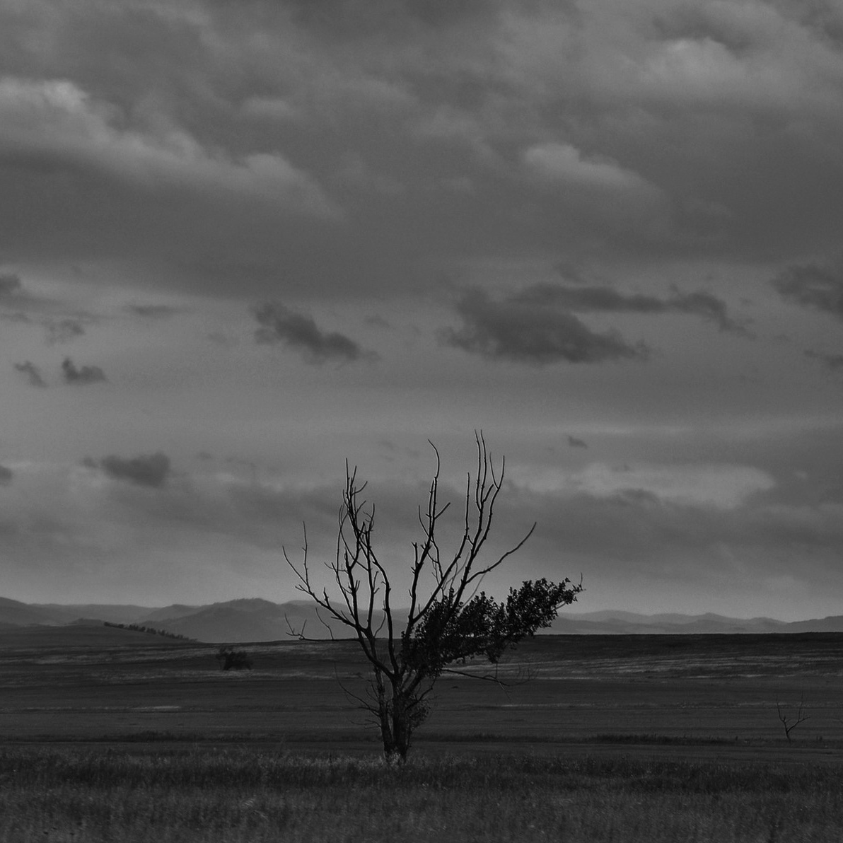 Серии и Проекты. Катерина Михеева