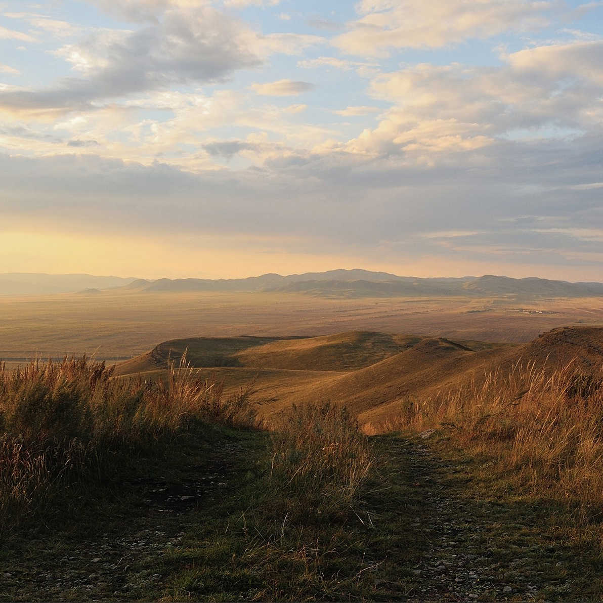 Серии и Проекты. Катерина Михеева
