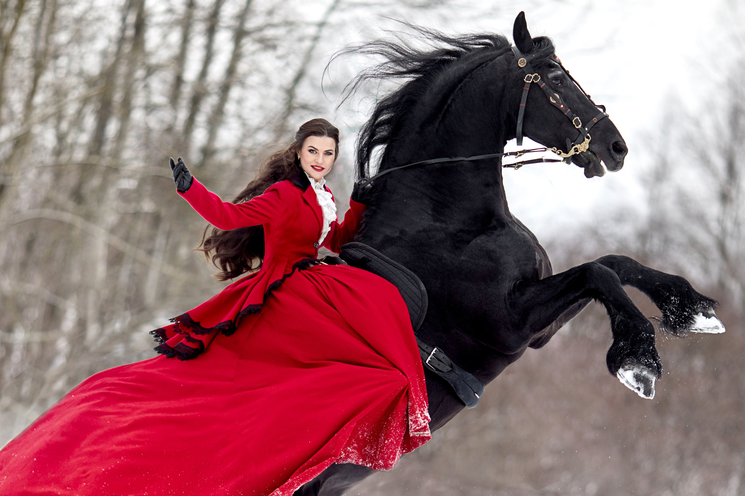 фотосессия с трюковой лошадью фризом в Москве