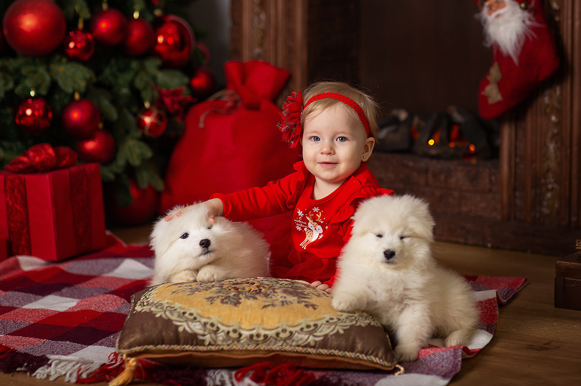 Детская новогодняя костюмированная фотосессия
