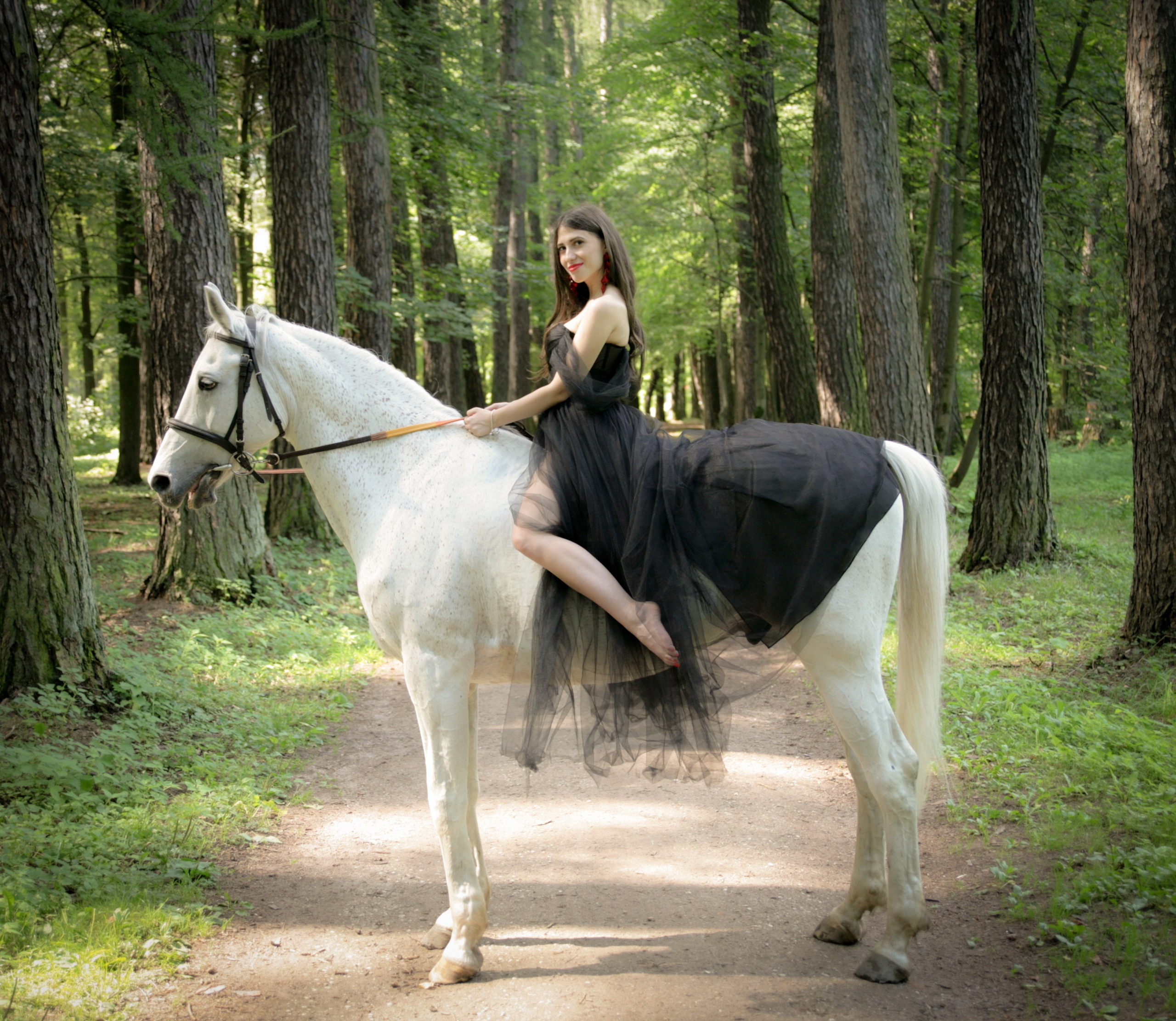 Фотограф с лошадьми в Москве