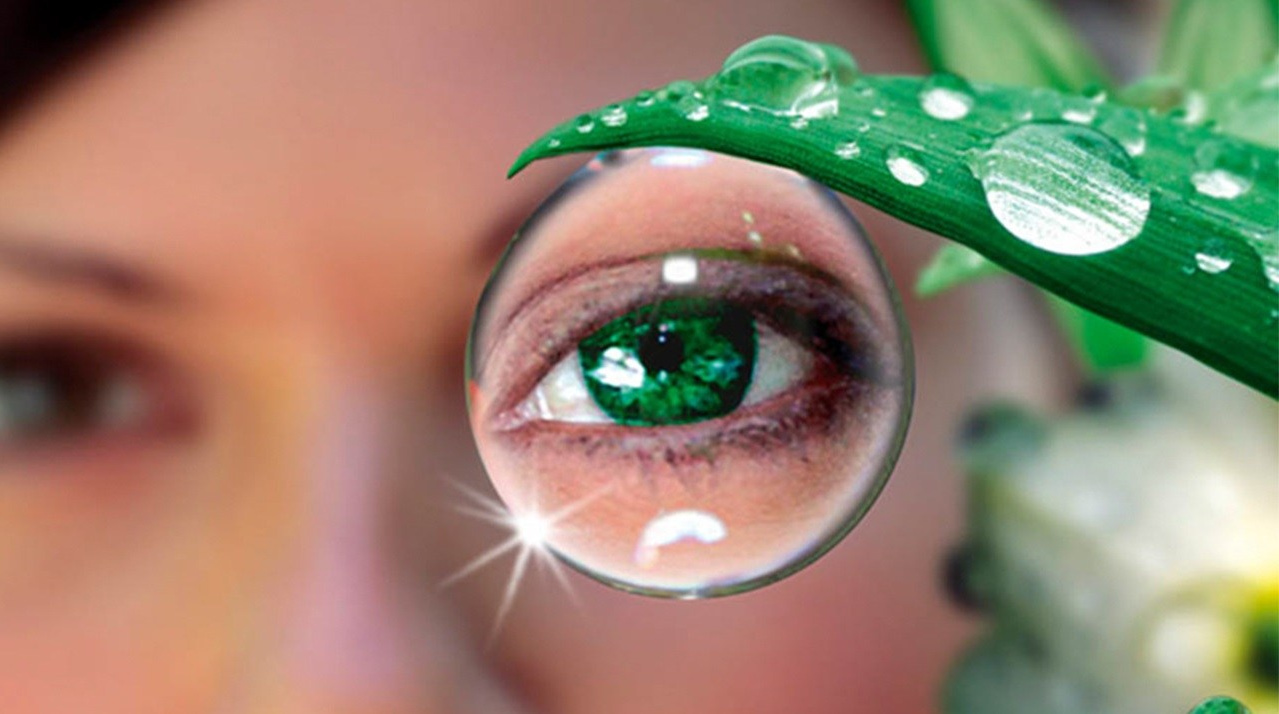 Нарушение зрения и&nbsp;оздоровление глаз - какие необходимы препараты компании сово-сова. Нарушение зрения чем лечить