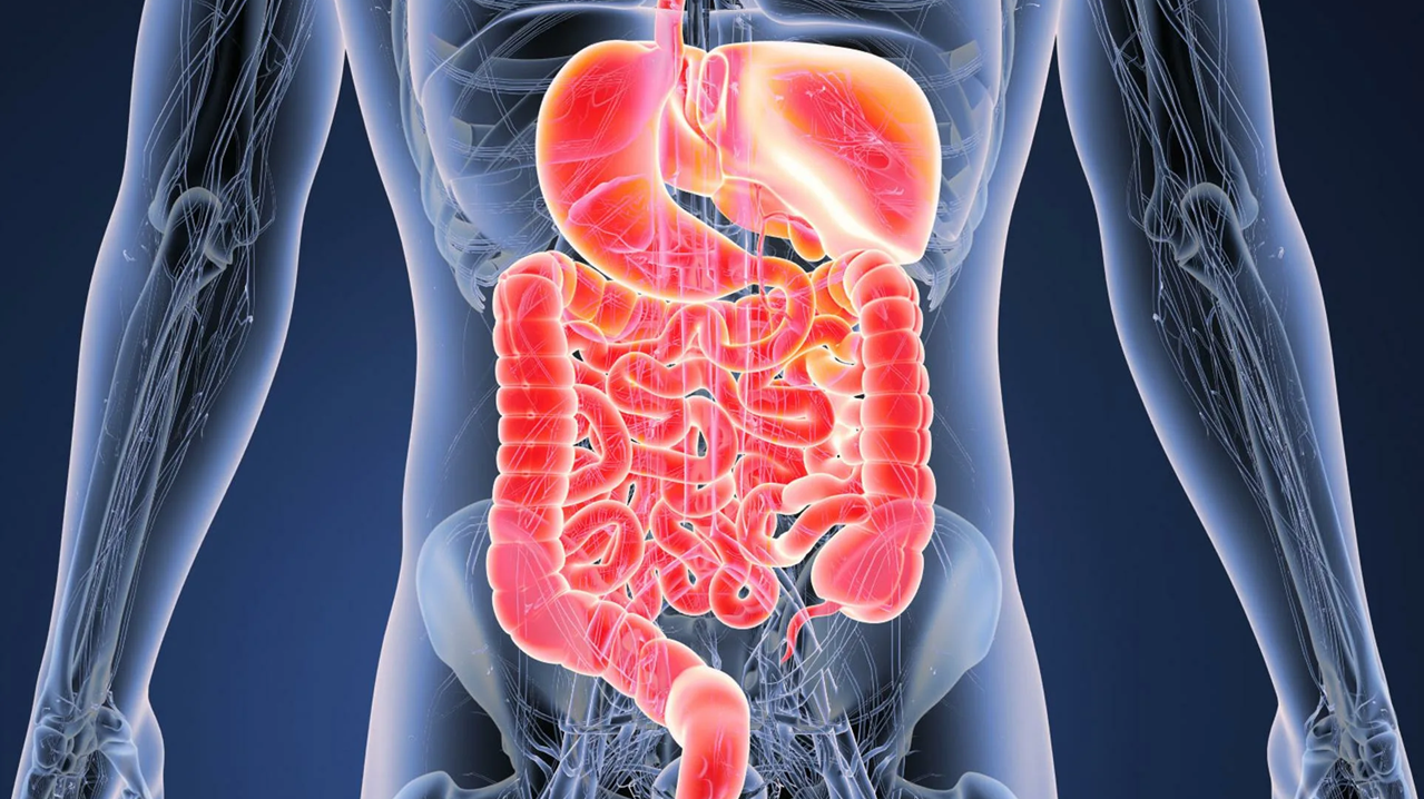 комплекс для здоровья жкт - желудочно-кишечного тракта - препаратами компании сово-сова