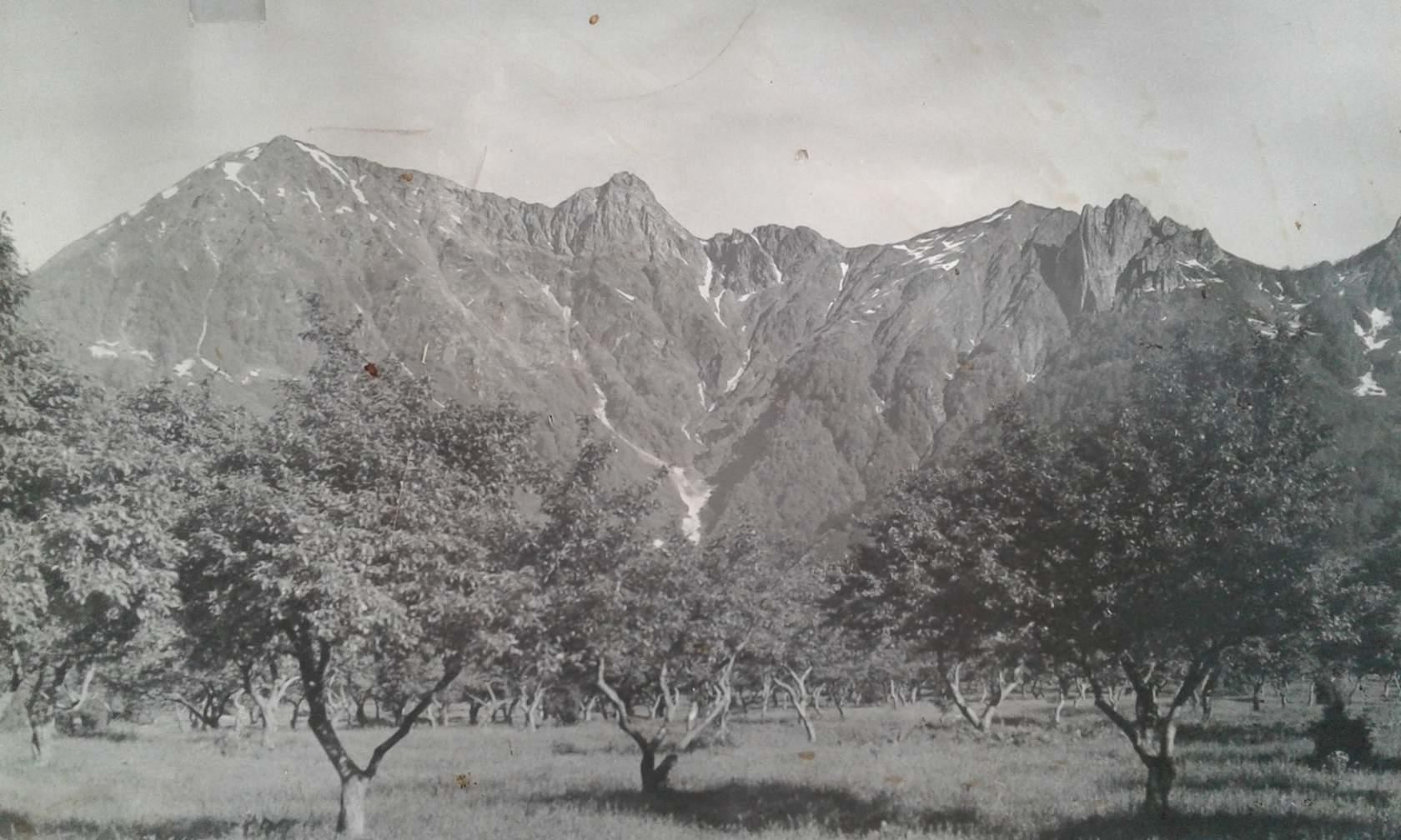 Какая была Красная Поляна до Олимпиады. Инструкторы по горным лыжам Сочи Красная Поляна. Горнолыжная школа