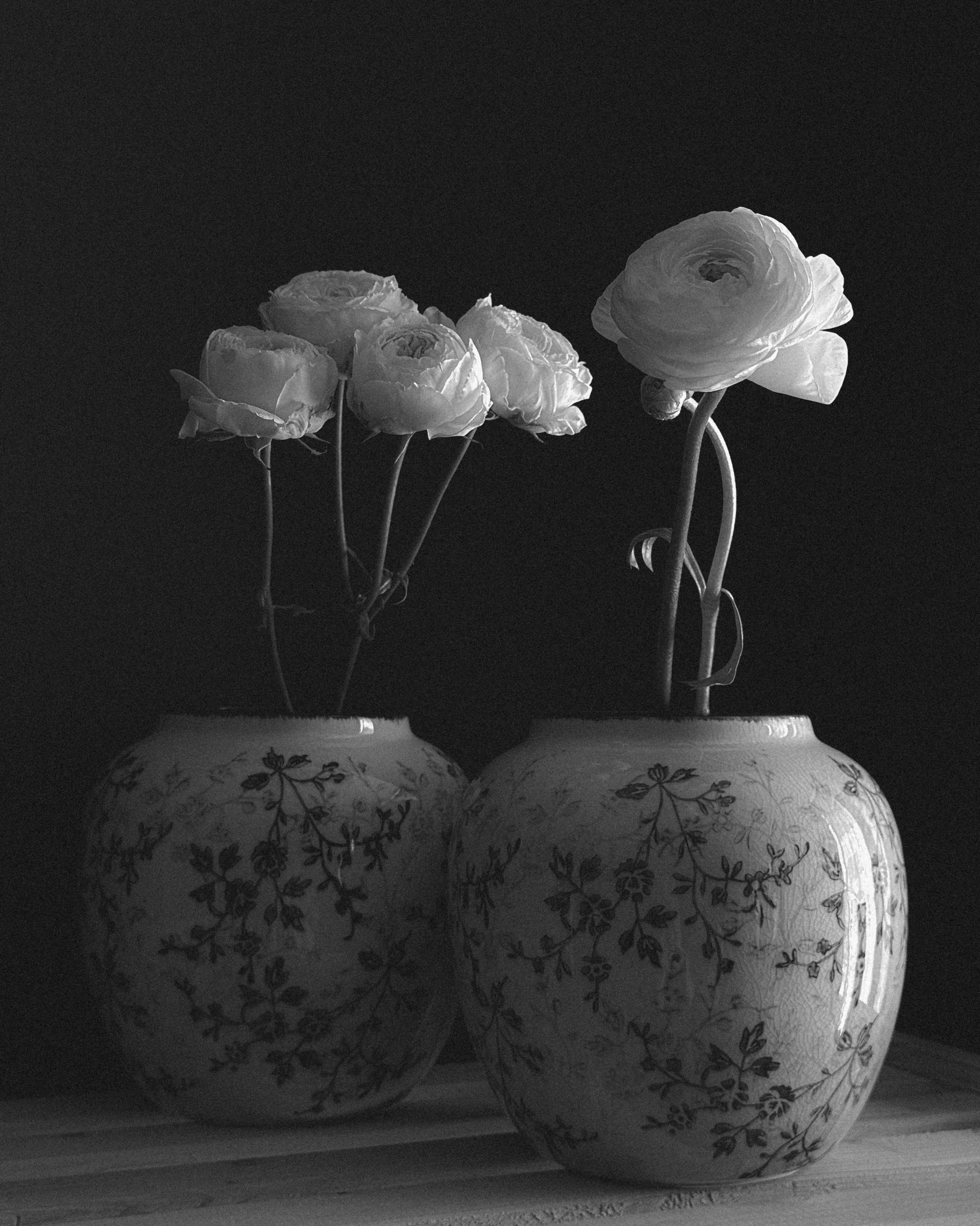 МАРАФОН ФОКУС НА ПРЕКРАСНОМ. Фотограф Анастасия Дмитриева