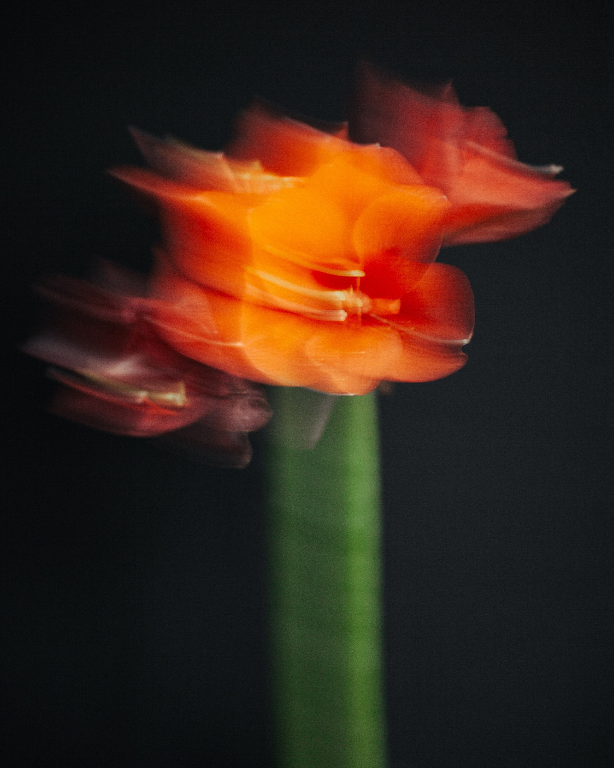 Открытки. Ostryakov Daniil Photographer