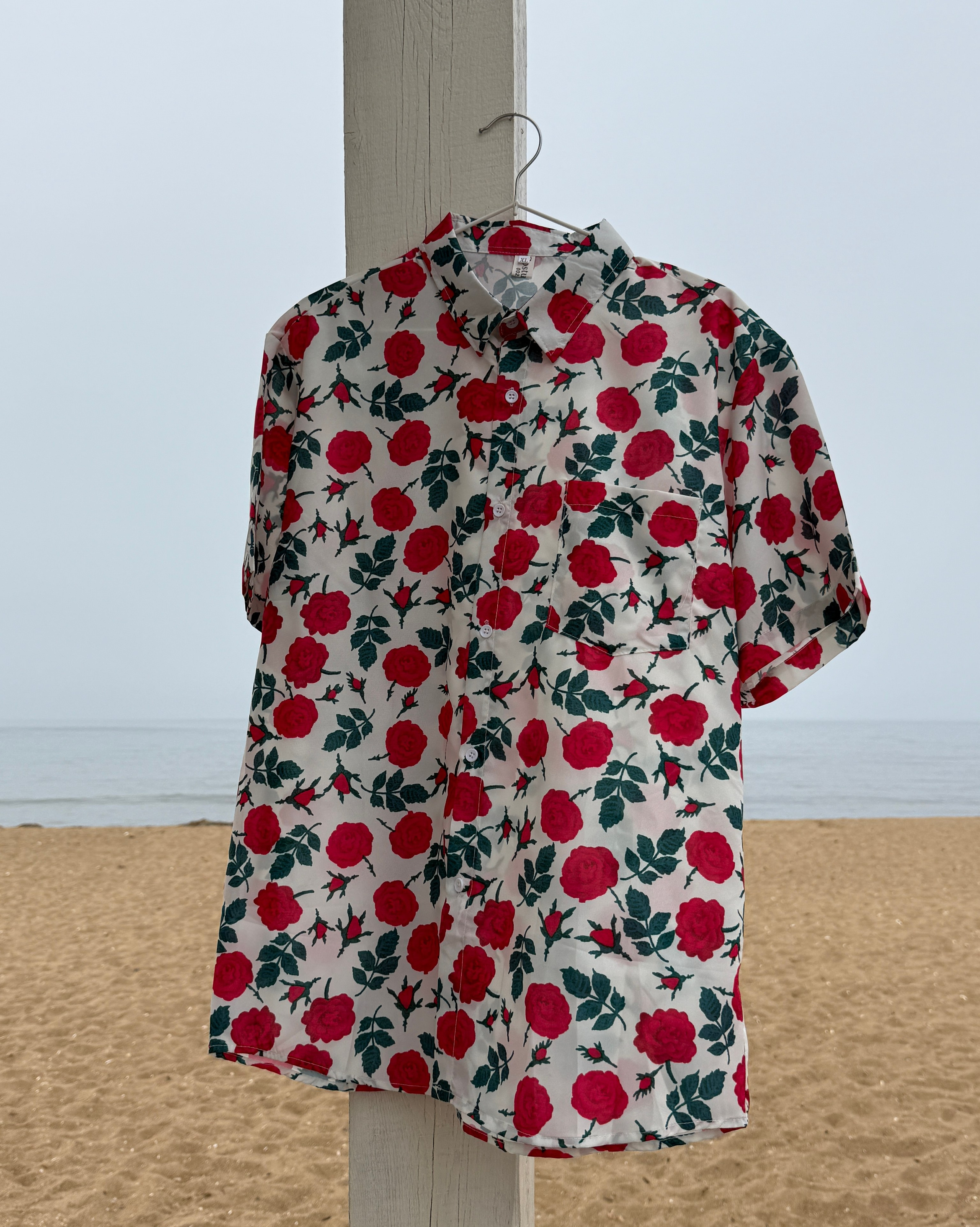 New лето. Iva rent