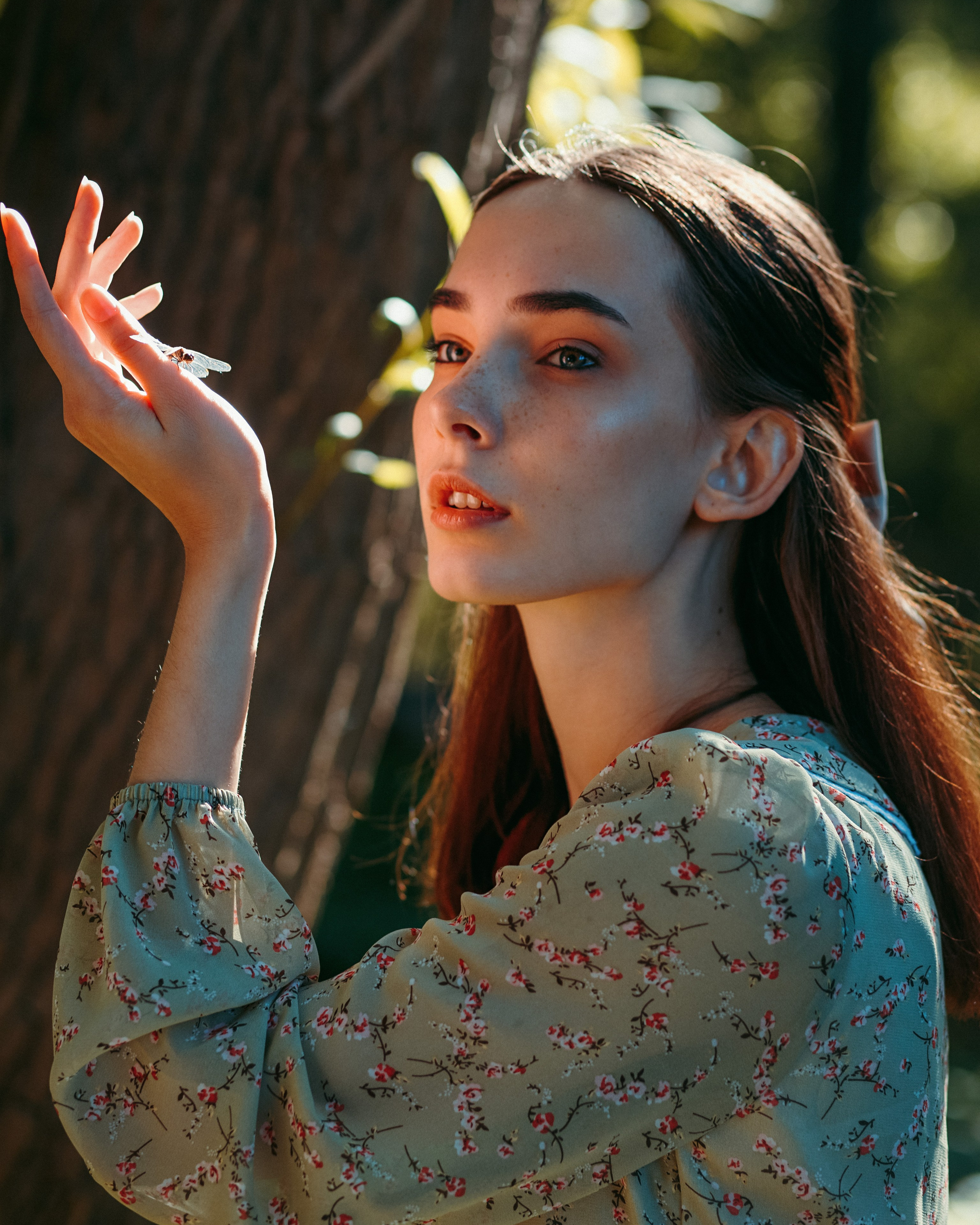 Услуги. Фотограф Барнаул Алексей Лесин