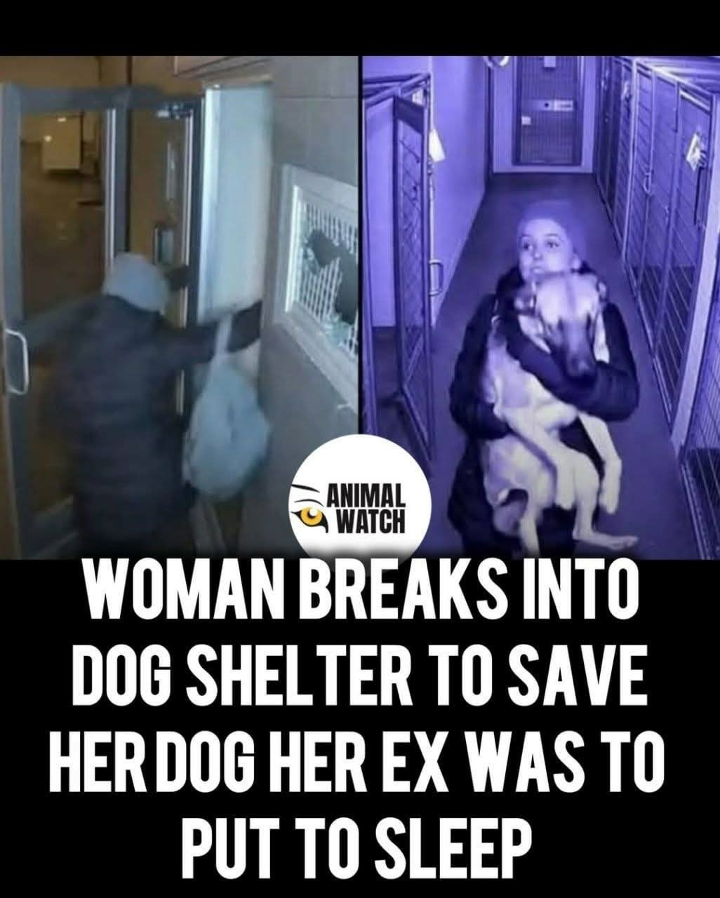 Читальный зал. Марина Рыбкина — Глубинная психология