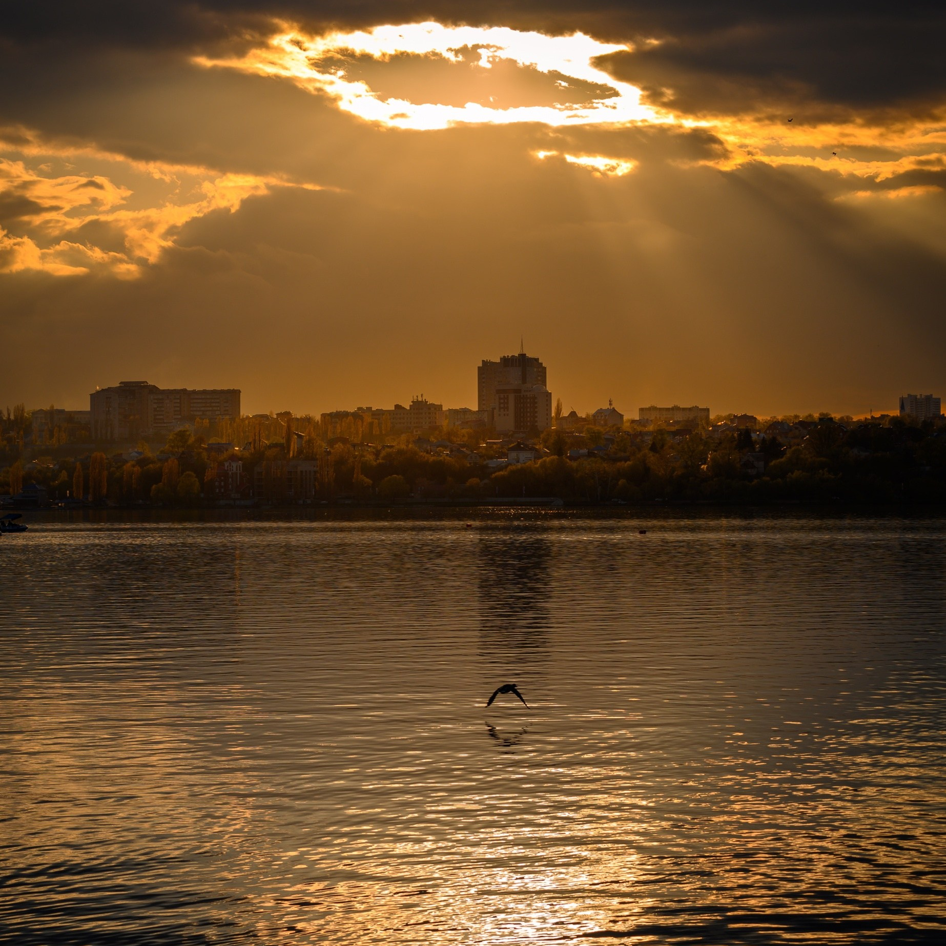 Портфолио. Предметный фотограф в Воронеже Антон Караваев