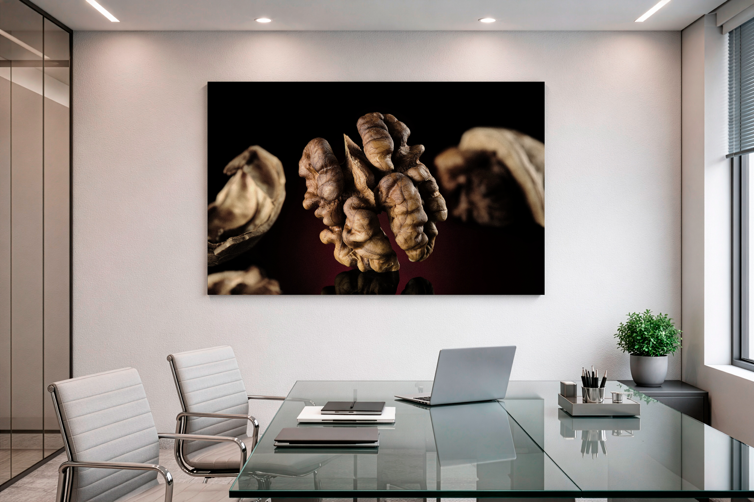 Коллекционная фотография грецкого ореха на тёмном фоне, размещённая в современном офисном интерьере.