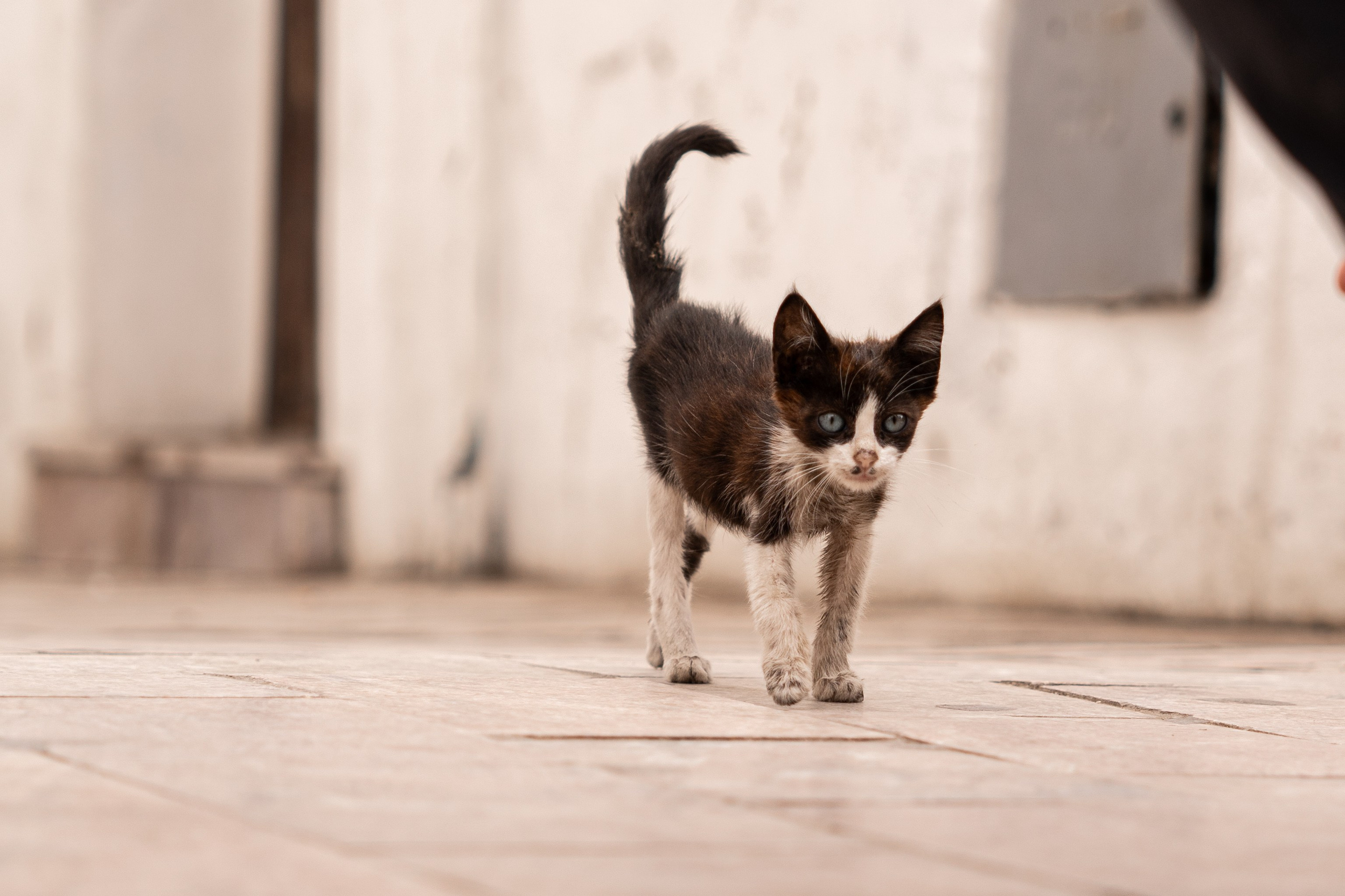 Марокко. Илья Варин — Фотограф Москва, Тверь