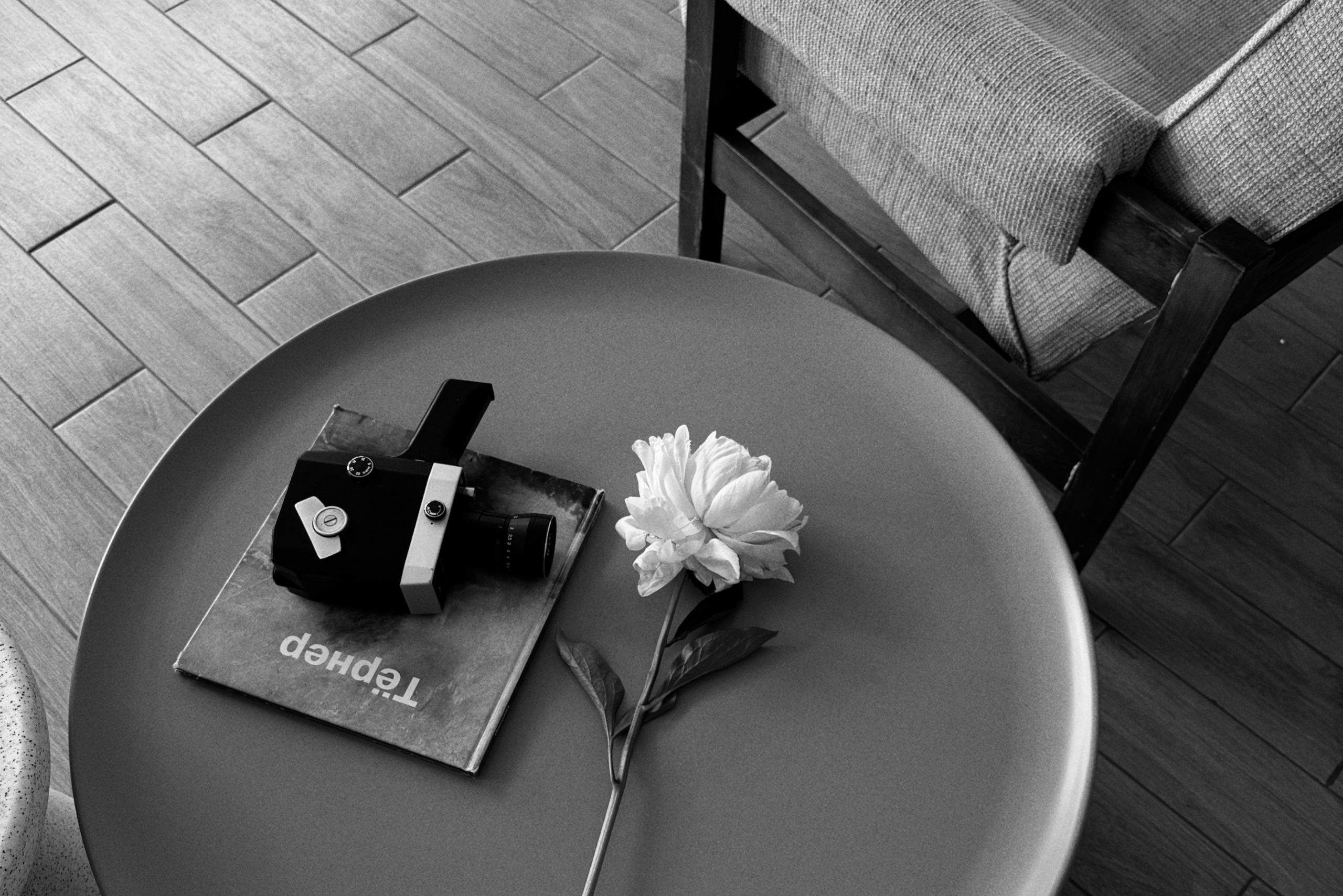 Стоимость. Фотограф в Москве Цакунова Алена