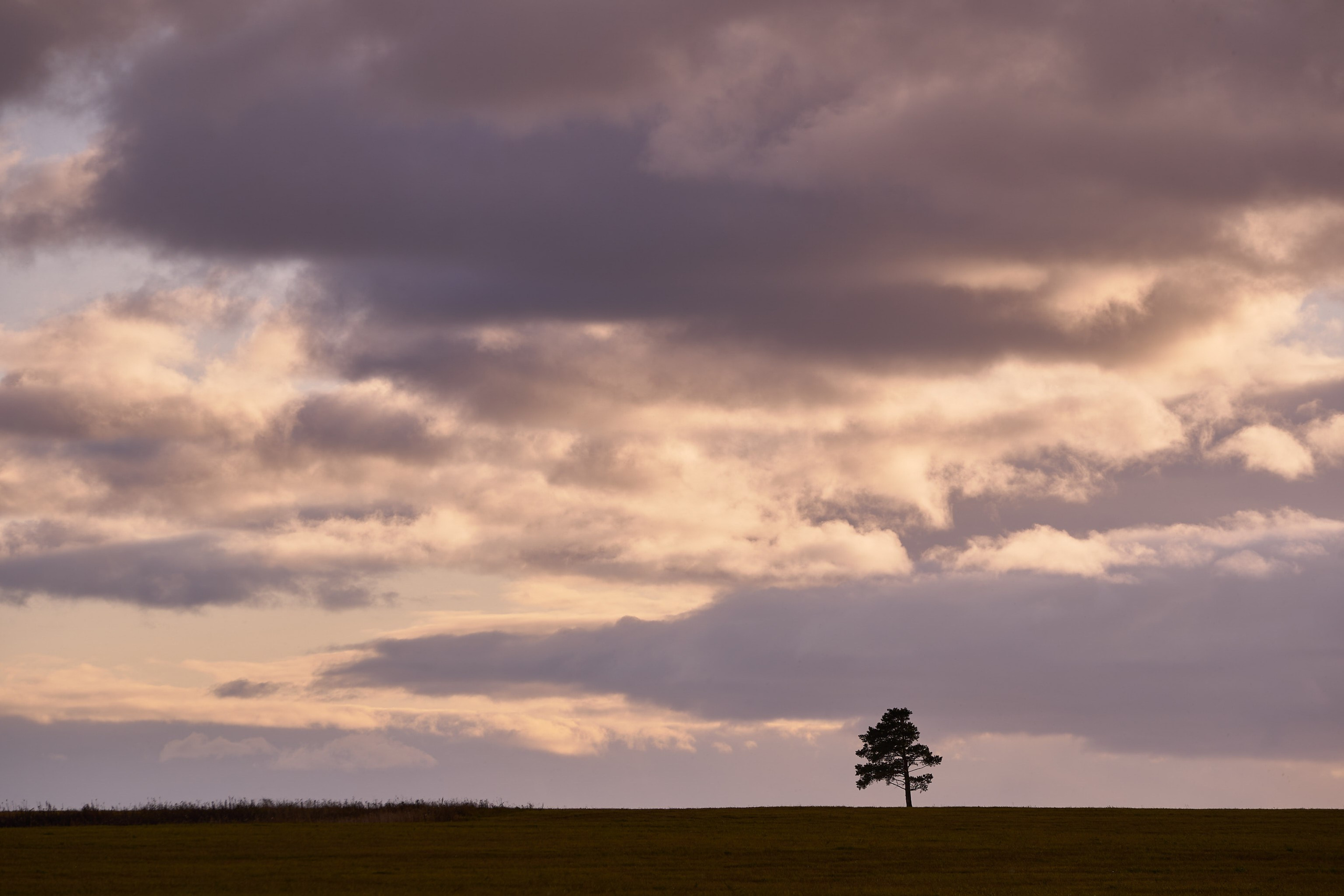Каталог фото. Главная