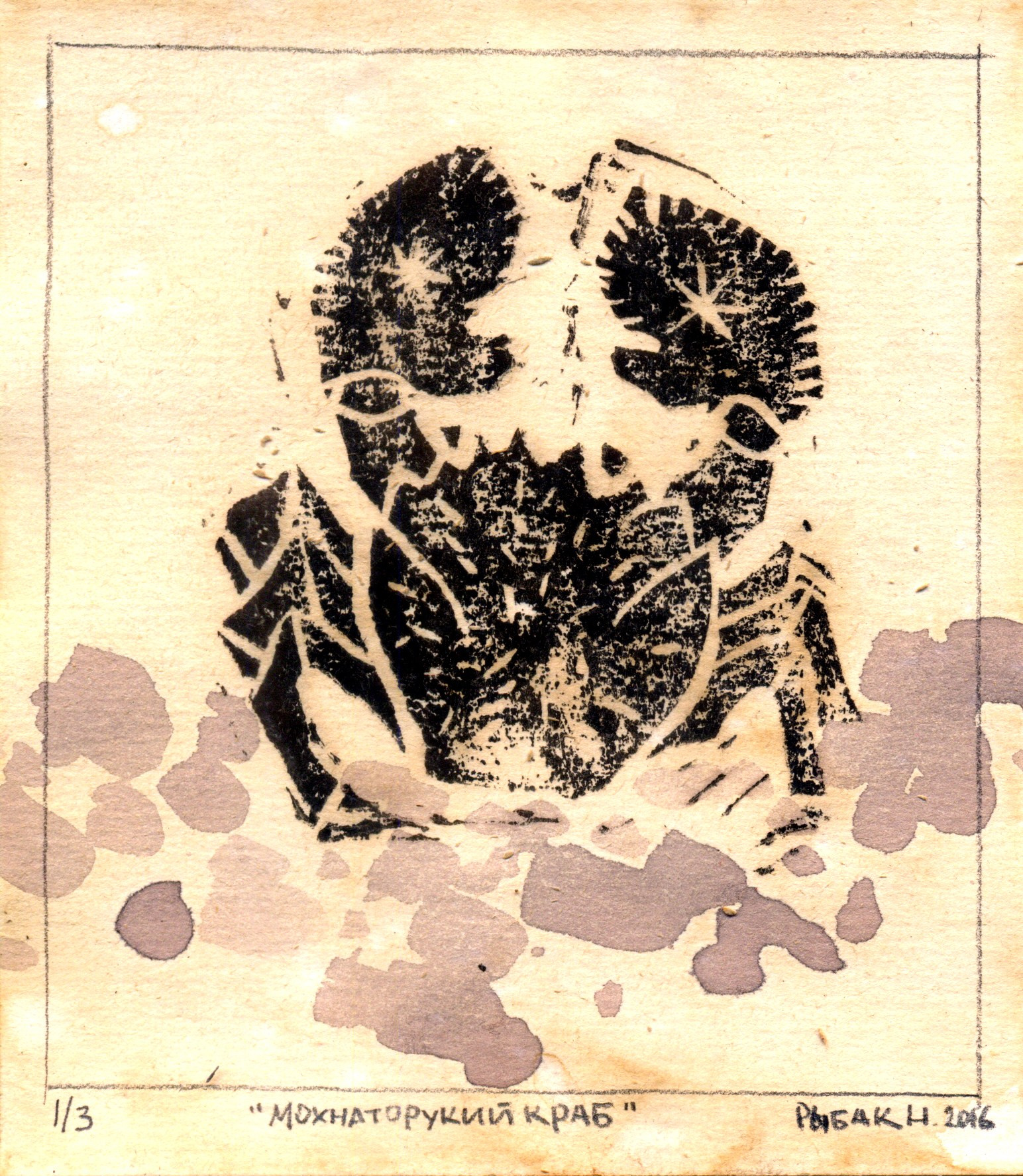 Серия Морские беспозвоночные. Художник Рыбак Николай