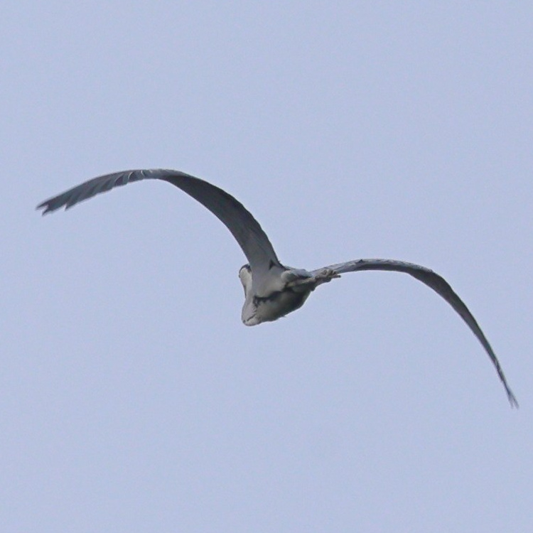 Большой уикенд. Пятница