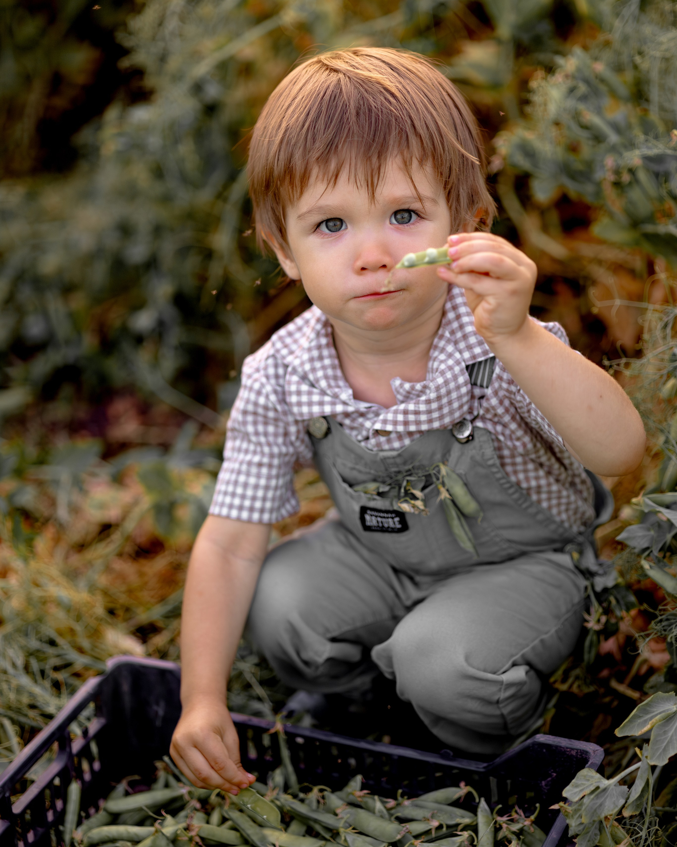 Услуги. Семейный и детский фотограф Рядчикова Екатерина Москва