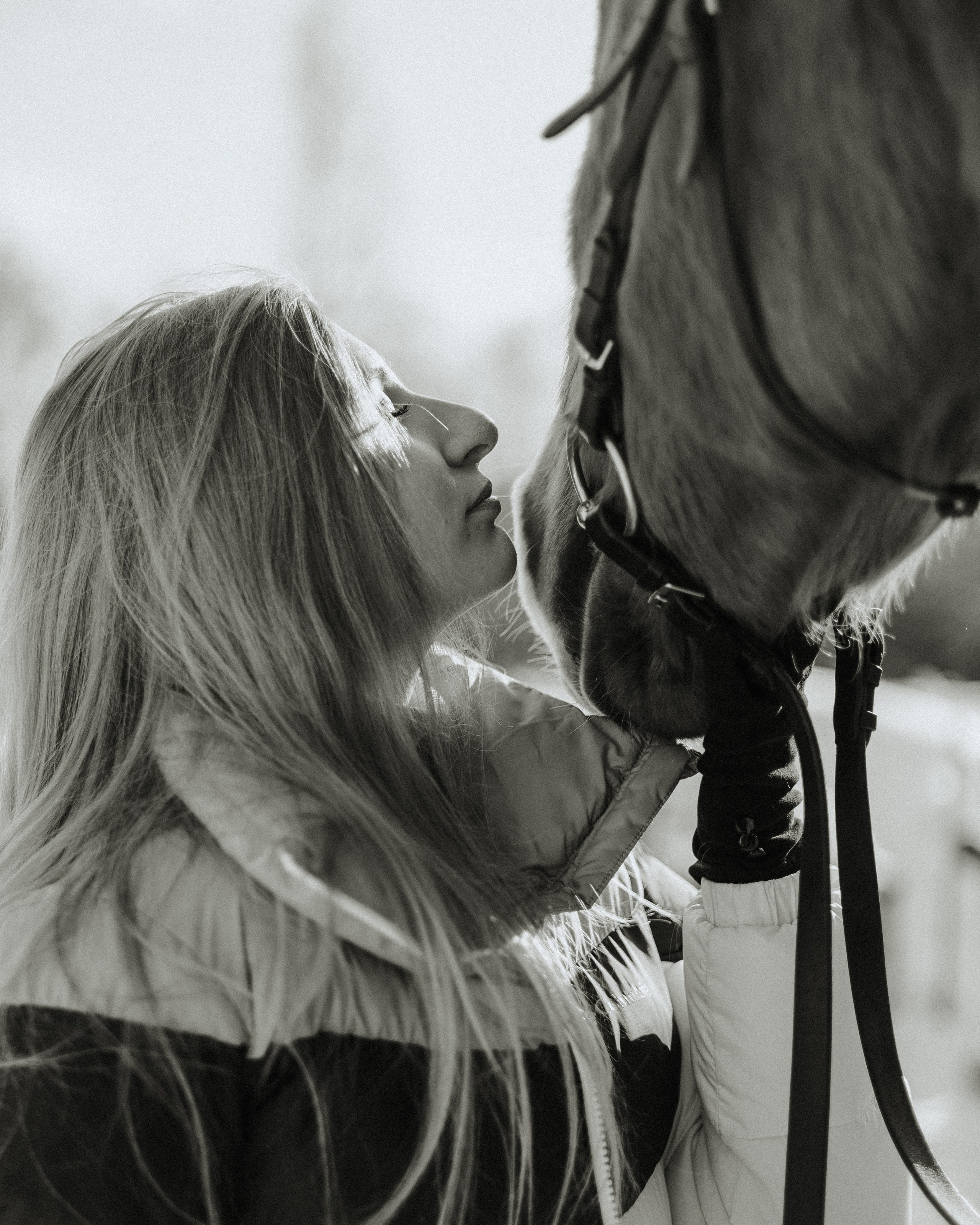 Екатерина Справцева фотограф анималист - стоимость. Фотограф Анималист Екатерина Справцева в Нижнем Новгороде