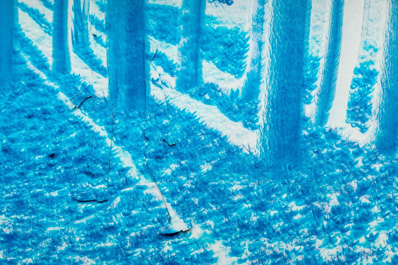 GALLERY. Mixed-media Artist Irina Sokolova