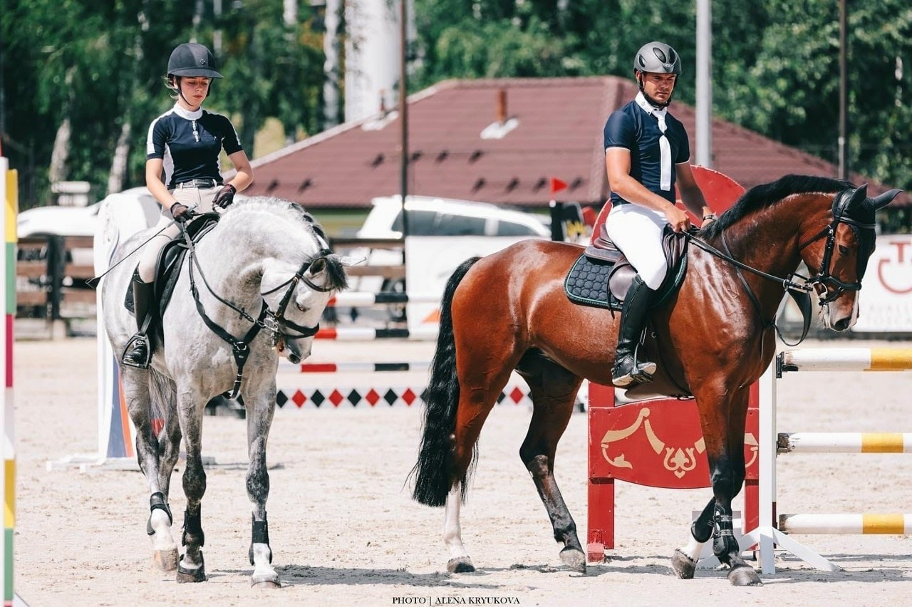 Стоимость фотосессии с лошадьми. Фотосессии с лошадьми