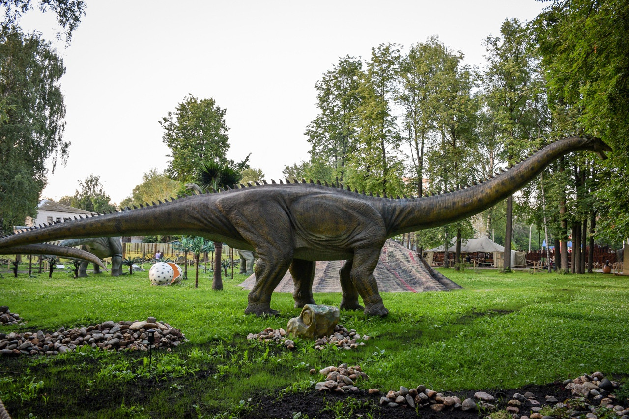 Локации. Портретный фотограф в Ярославле — Андррей Неледько