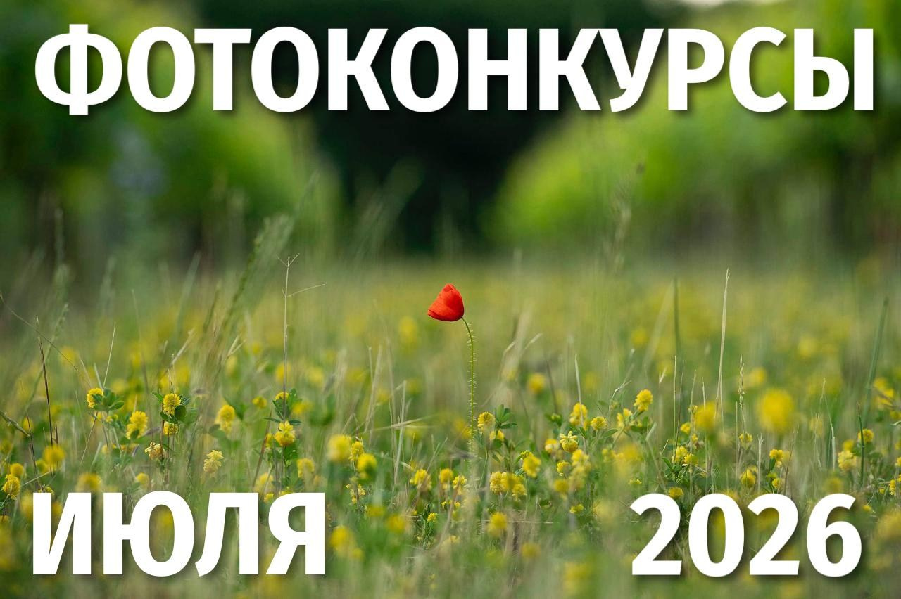 Самый полный список фотоконкурсов для фотографов в русскоязычном интернете