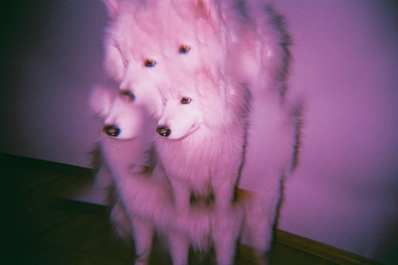 Contacts. TATIANA DARINA — film photographer in St. Petersburg