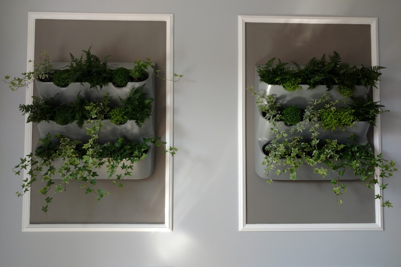 Рускі дызайн каштарысу