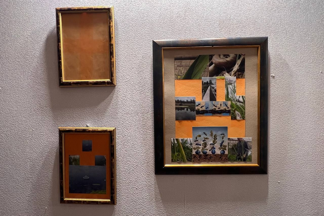 Деньги, из волос