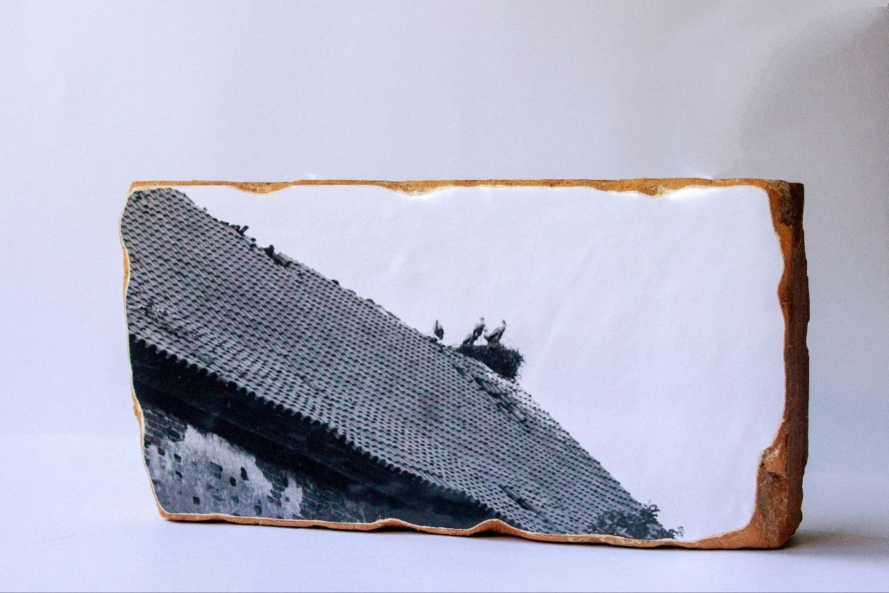 Красный слой (2025 — в процессе). Julia Gorbunova