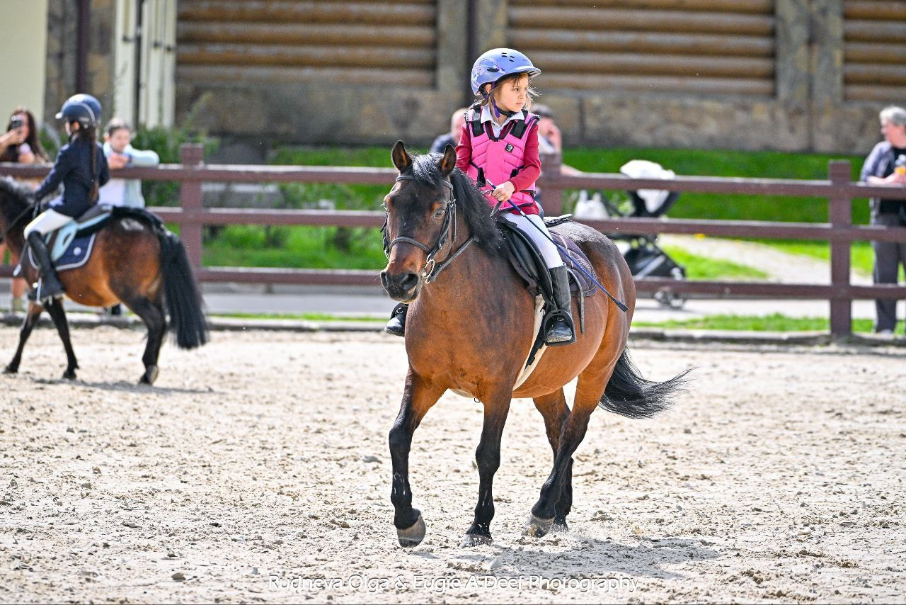 2025-05-04 — СОРЕВНОВАНИЯ КУБОК КСК «ПЕГАС» ПО КОНКУРУ, I ЭТАП. ТУРНИРНАЯ КОННАЯ ФОТОГРАФИЯ, Руднева Ольга и Евгений Адеев
