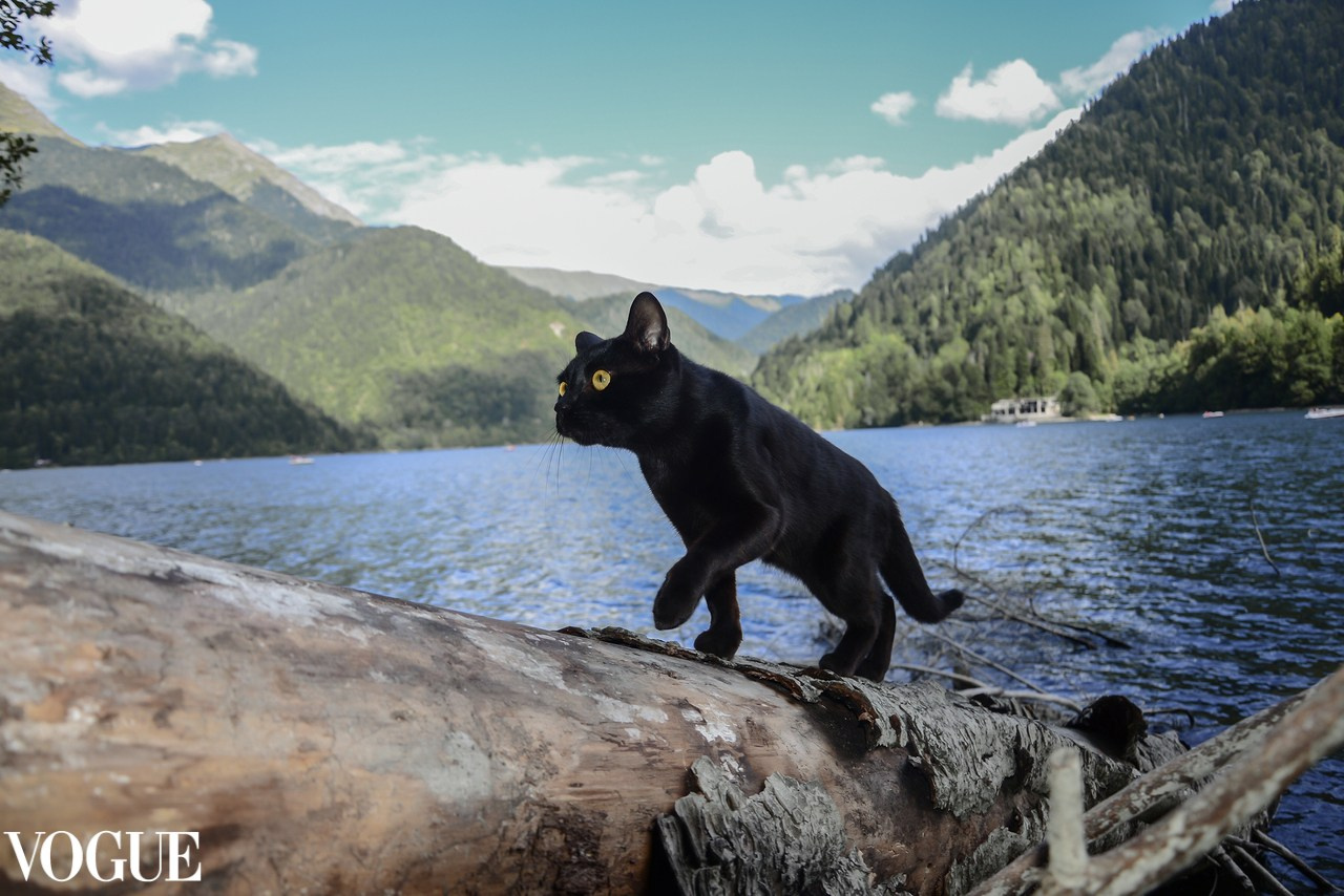 Публикации. Фотограф Наталия Шляпина в Ростове-на-Дону