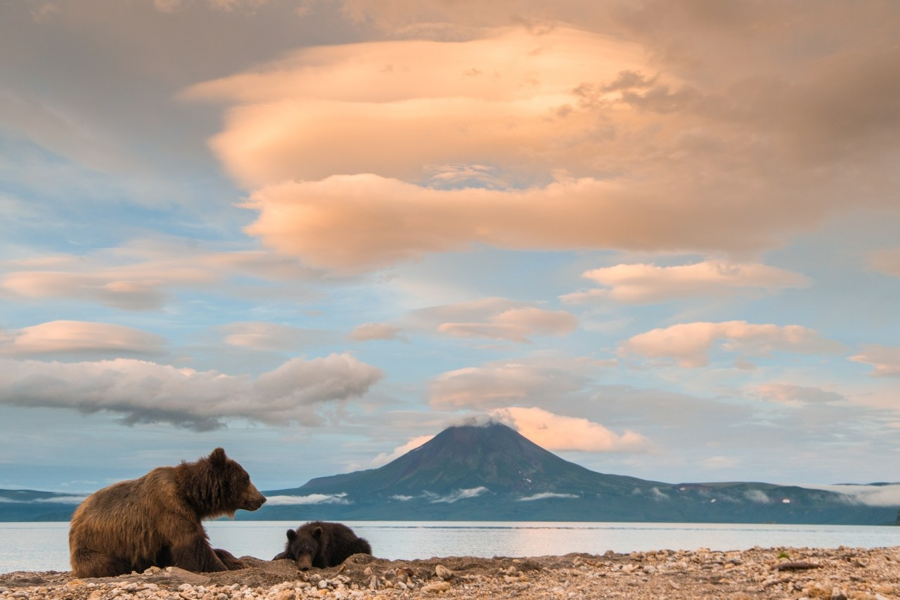 Игорь Иванко — Репортажный и событийный фотограф. Москва