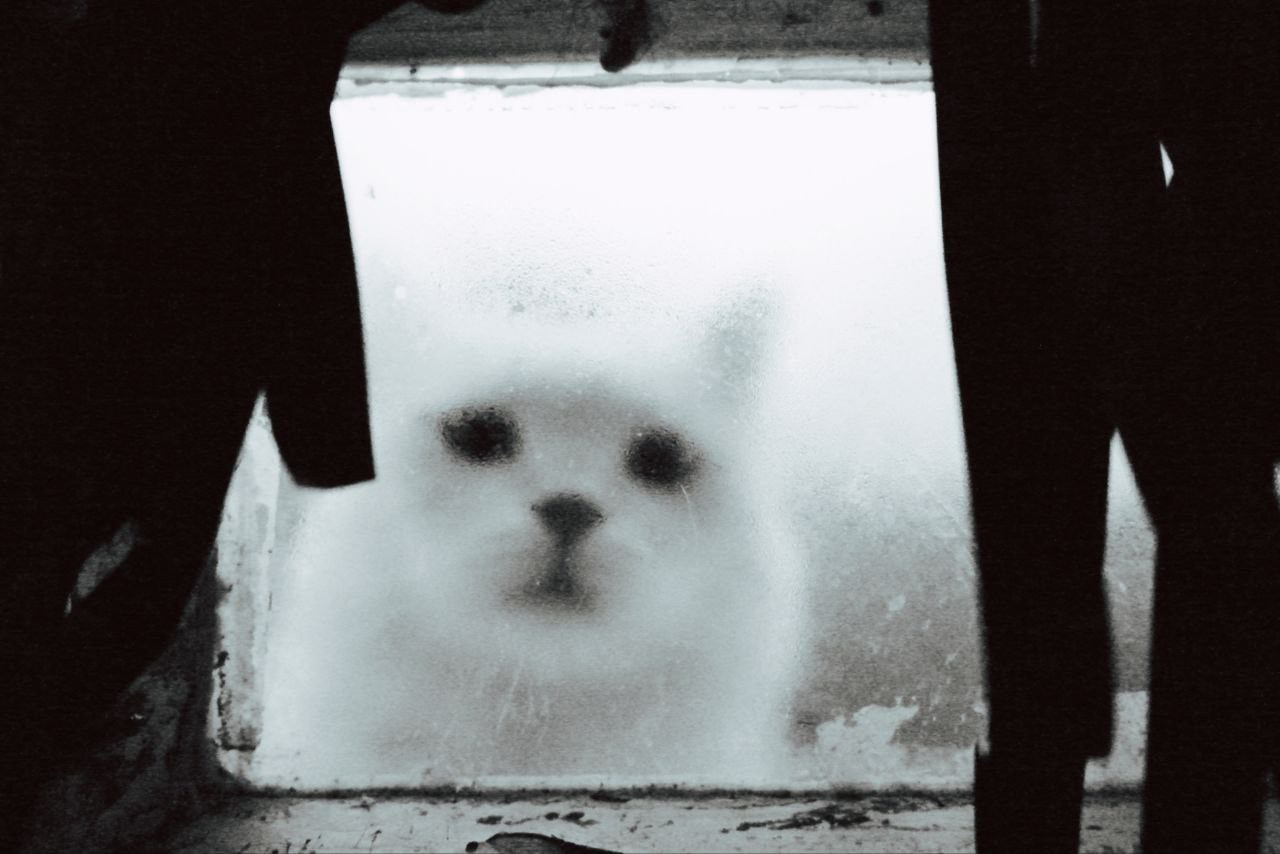 Белгород—Валуйки. Фотограф в Санкт-Петербурге и Нижнем Новгороде Яна Титова