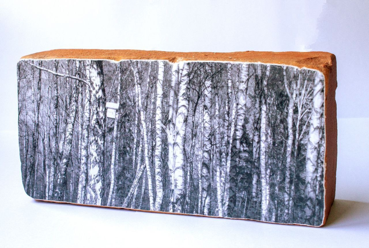 Красный слой (2025 — в процессе). Julia Gorbunova