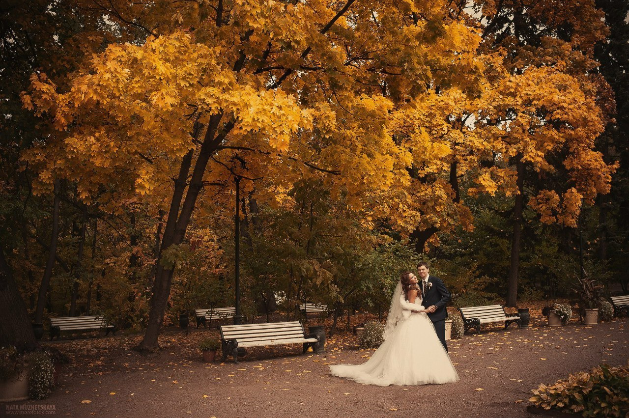 Осенняя свадьба в Москве — фотосессия полного дня. Фотограф и организатор фотосессий в Москве — Наталия Мужецкая