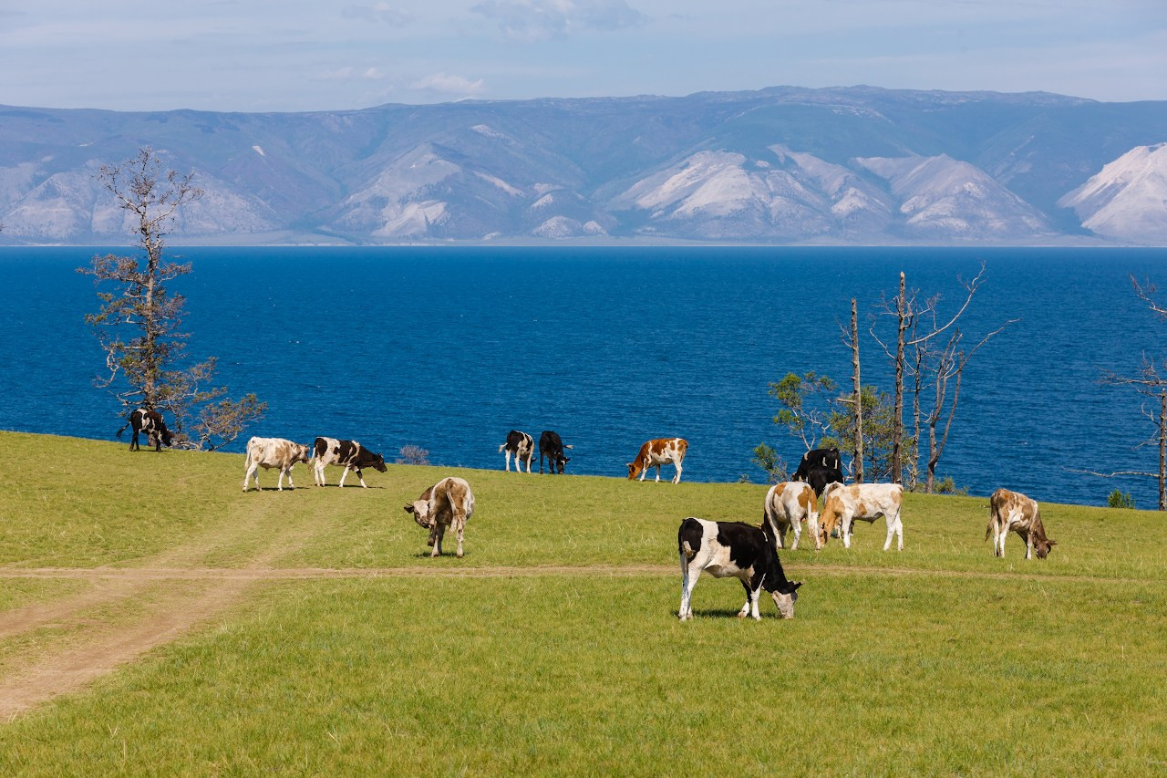 Из Иркутска на Ольхон. Илья Буянов, гид по Байкалу, фотограф — baikalsky.com