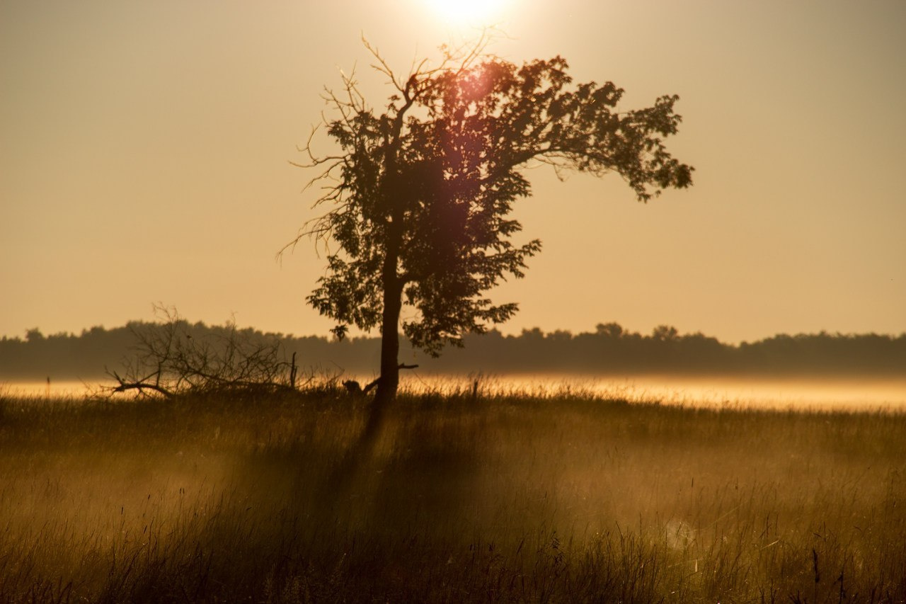 Фотошкола москва. Артём Савиных — профессиональный фотограф в Москве | Репортажи, свадьбы, портреты