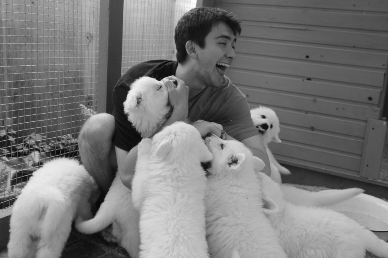 Контакты. Питомник собак Westerly Wind Москва и МО