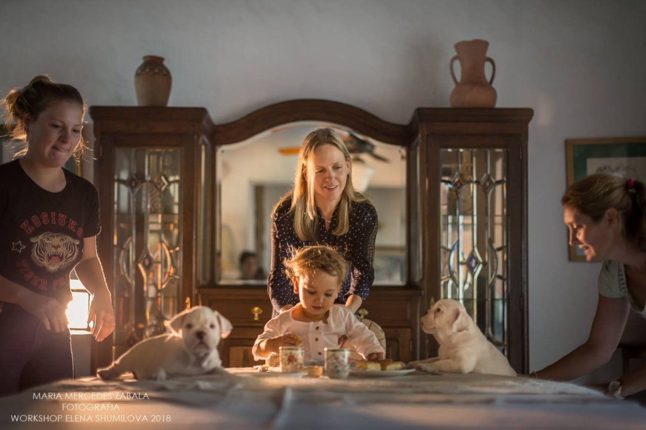 Авторский онлайн курс. Елена Шумилова